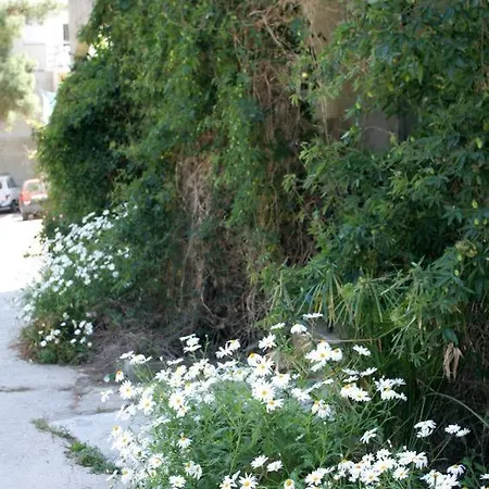 דירה By The Sea Cove Saplunara, Mljet - 4922 Maranovići